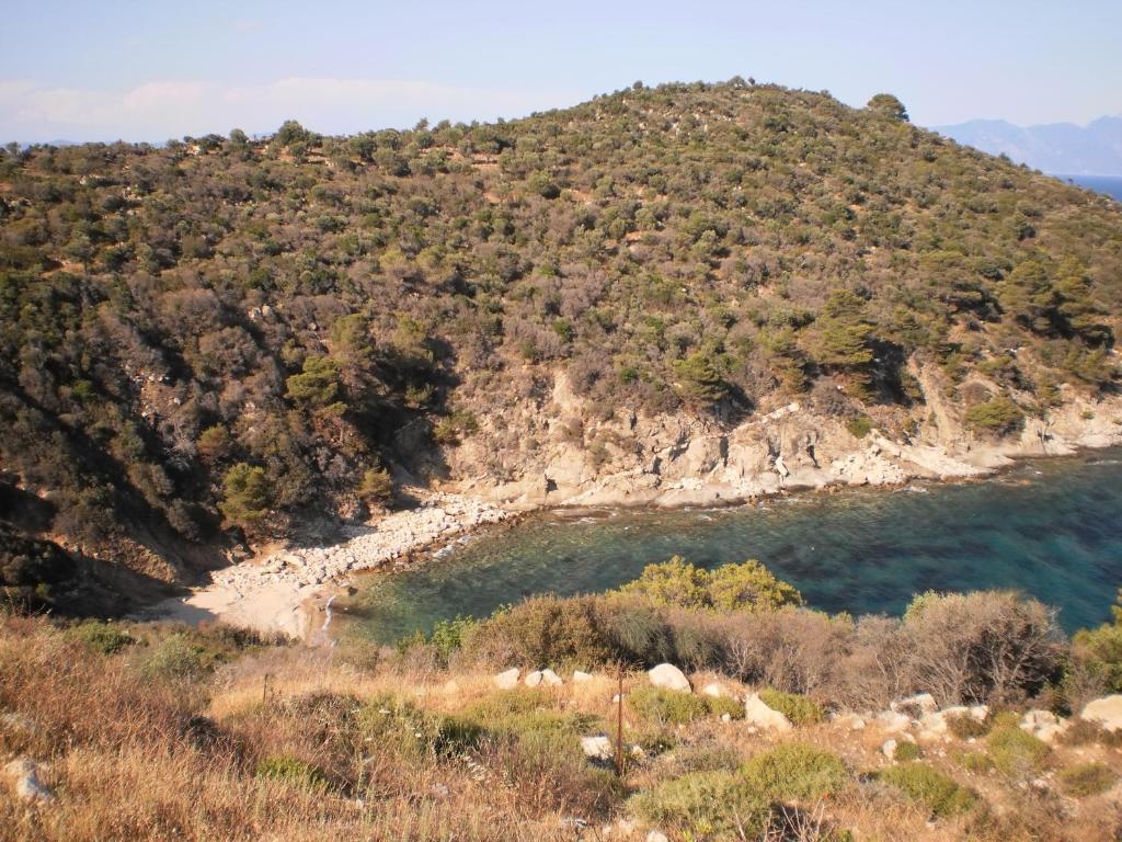 Vergina Pension Sarti Extérieur photo